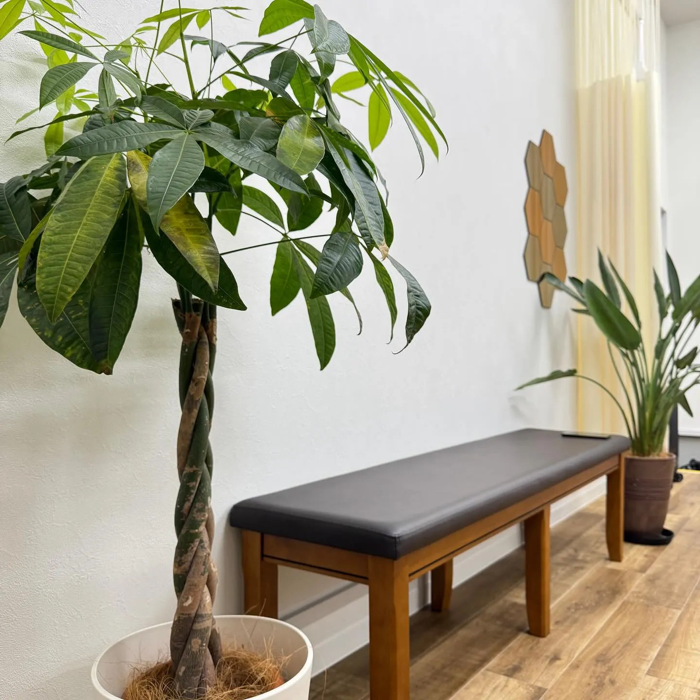 【はじめまして🌿】