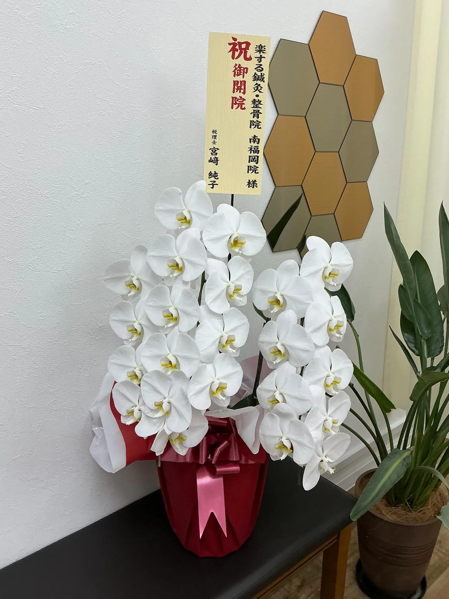 【開院のお祝いをいただきありがとうございました】